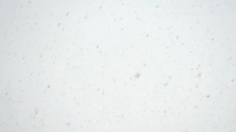 Snow is falling fast against the sky. 動画素材 117896522