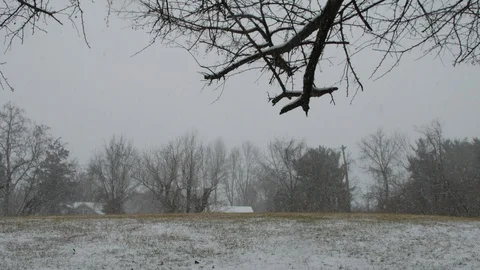 Snow falling on field landscape Stockbeeldmateriaal 103295366