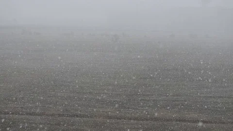 Snow falling in fields, winter background. Snowstorm, snowy weather. Stock Footage 74873855