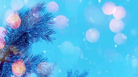 Snow falling at the fir trees branches with light bokeh. Stock Footage 99340653