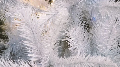 Snow falling at the fir trees branches 스톡 동영상 150334528