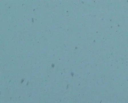Snow Falling Stock Footage 284671