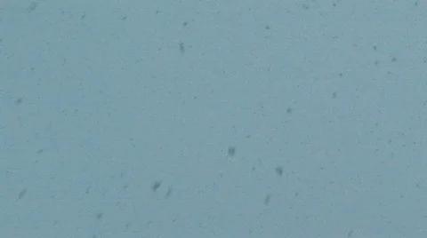 Snow Falling 库存影片 285542