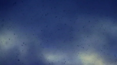 Snow falling Stock Footage