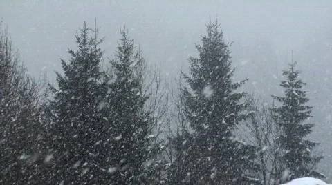 Snow falling Video stock 605205