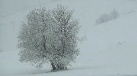 Snow falling Stock Footage 662765