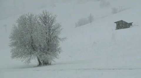 Snow falling Stock Footage 662767