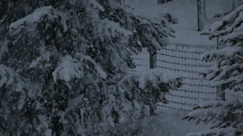 Snow falling Stock Footage 1085135