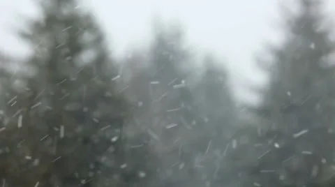Snow falling Stock Footage 1087367