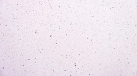 Snow Falling 스톡 동영상 21878985