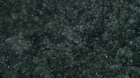 Snow falling Stock Footage 22666447