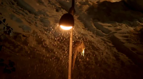 Snow Falling Video stock 34508147