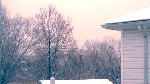 Snow Falling Stock Footage 36269388
