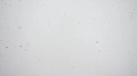 Snow falling Stock-Footage 36757375