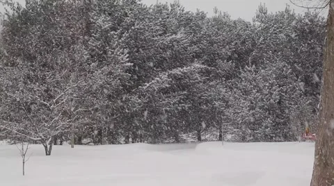 Snow Falling Vidéo 41920477