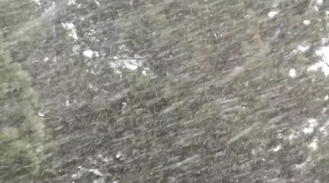 Snow Falling Stock Footage 54756434