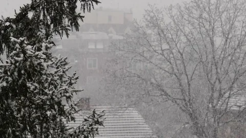 Snow falling Stock Footage 71156562