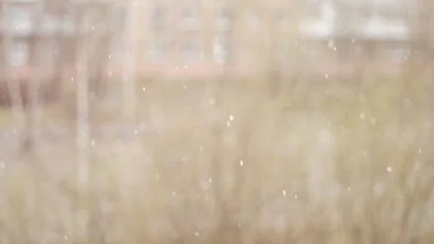 Snow falling Stock Footage 76164506