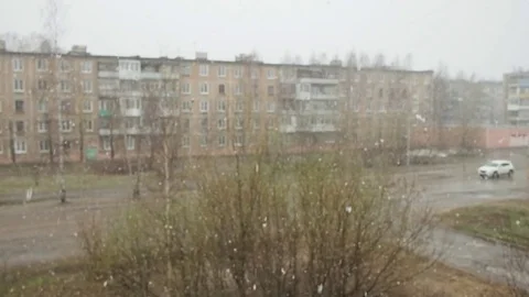 Snow falling Stock Footage 76164730