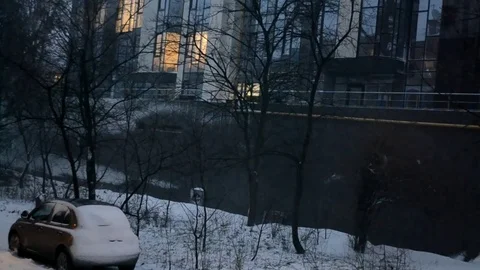 Snow Falling Stock Footage 83715645