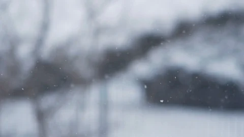 Snow Falling 動画素材 87247093