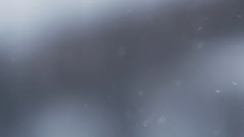 Snow Falling 動画素材 87247102