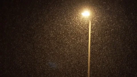 Snow falling Stock Footage 126524785