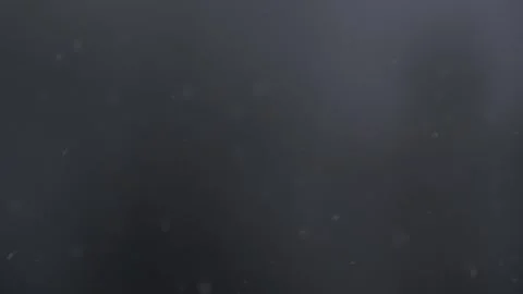 Snow Falling Stock Footage 301470581