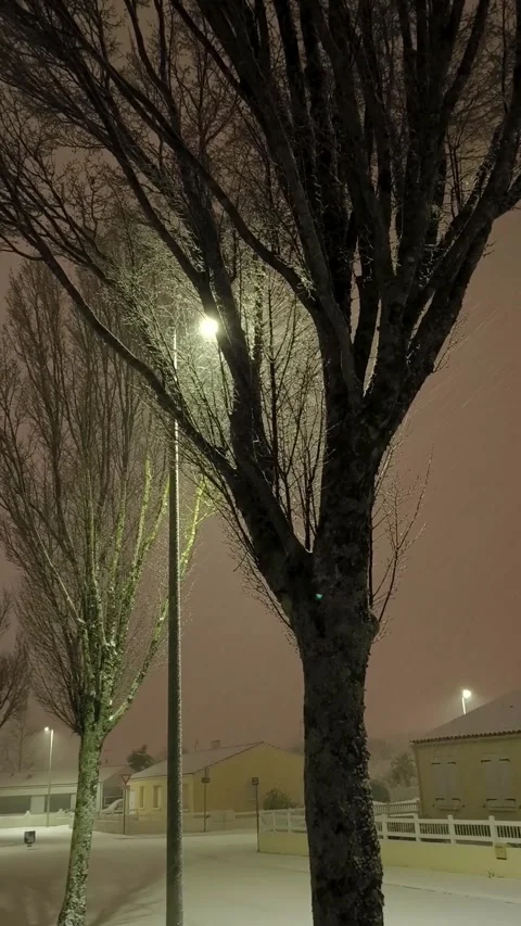 Snow falling Video stock 325745384