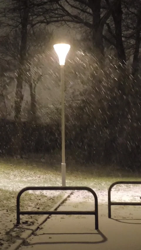 Snow falling Video stock 325745389