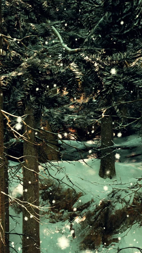 Snow falling in a forest during winter with trees and rocks visible Stock Footage 341266336