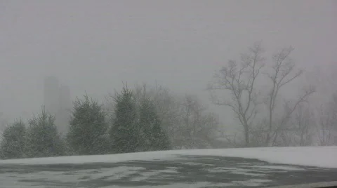 Snow falling on forest Stock Footage 690024