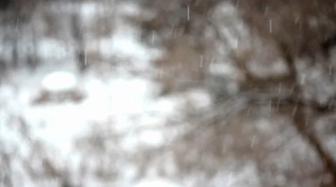 Snow Falling in Forest Stock-Footage 34365464