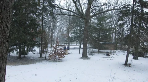 Snow Falling in the Forest Stock Footage 34475843