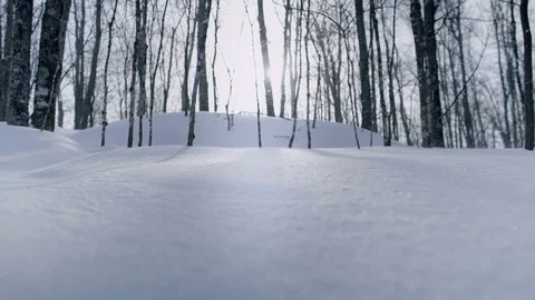 Snow falling in the forest Stock Footage 71634661