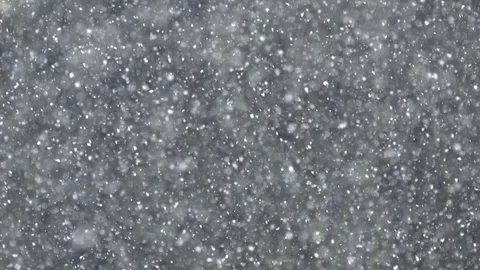 Snow falling in forest Stock Footage 86366444