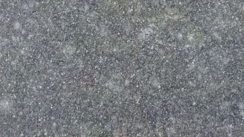 Snow falling in forest Stock Footage 86367145