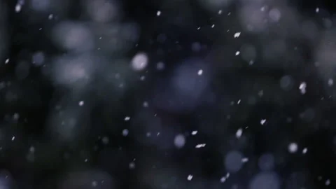 Snow falling in the forest Stock Footage 148227467
