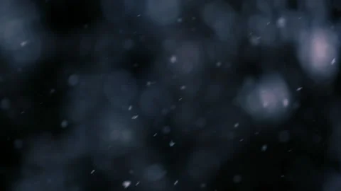 Snow falling in the forest Stock Footage 148227505