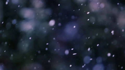 Snow falling in the forest Stock Footage 148227619