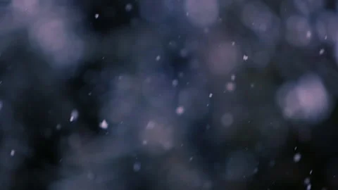 Snow falling in the forest Stock Footage 148227620