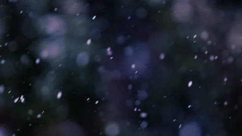 Snow falling in the forest Stock Footage 148227628