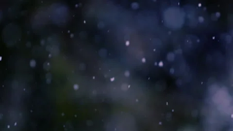 Snow falling in the forest Stock Footage 148228282