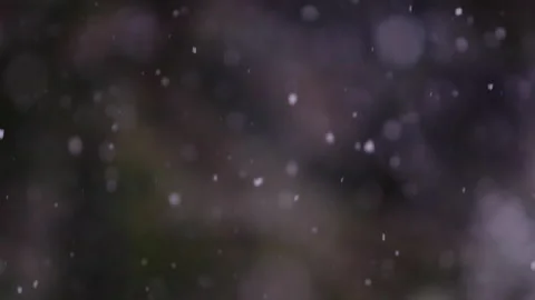 Snow falling in the forest Stock Footage 148228366