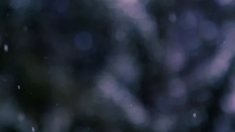 Snow falling in the forest Video stock 148228428