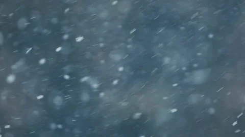 Snow falling in the forest Stock Footage 148396791