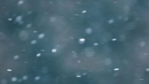 Snow falling in the forest Stock Footage 148396896