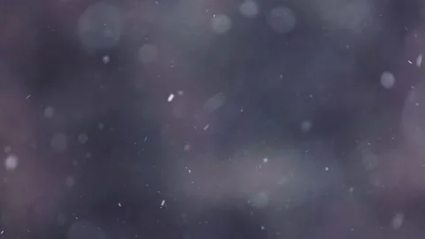 Snow falling in the forest Stock Footage 148397019