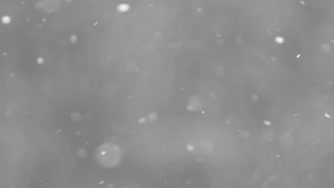 Snow falling in the forest Stock Footage 148398086