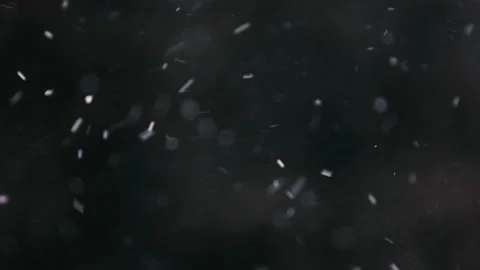 Snow falling in the forest Stock Footage 148398297